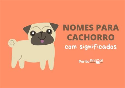 significado do nome chanel para cachorro|+50 NOMES para cachorro com SIGNIF.